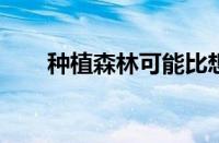 种植森林可能比想象的更让地球降温