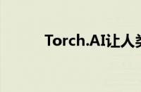 Torch.AI让人类更容易使用数据