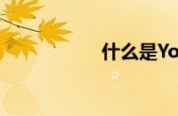 什么是YouTube电视