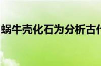 蜗牛壳化石为分析古代海洋化学提供了新工具