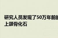 研究人员发现了50万年前的一种大型犬科动物似野犬异豺的上颌骨化石