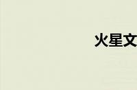 火星文字输入法