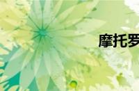摩托罗拉w208