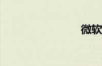 微软极动鲨