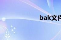 bak文件怎么打开