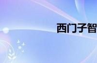 西门子智能照明系统