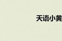 天语小黄蜂刷机教程