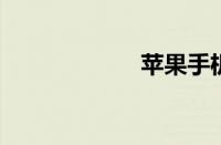苹果手机以旧换新
