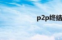 p2p终结者控制不了