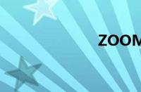 ZOOMSERVO