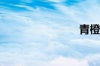 青橙mars1