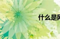 什么是网络电视机