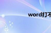word打不开怎么回事