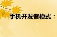 手机开发者模式：功能解析与实用指南