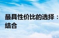 最具性价比的选择：实现高品质与预算的完美结合
