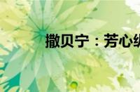 撒贝宁：芳心纵火犯的幕后故事